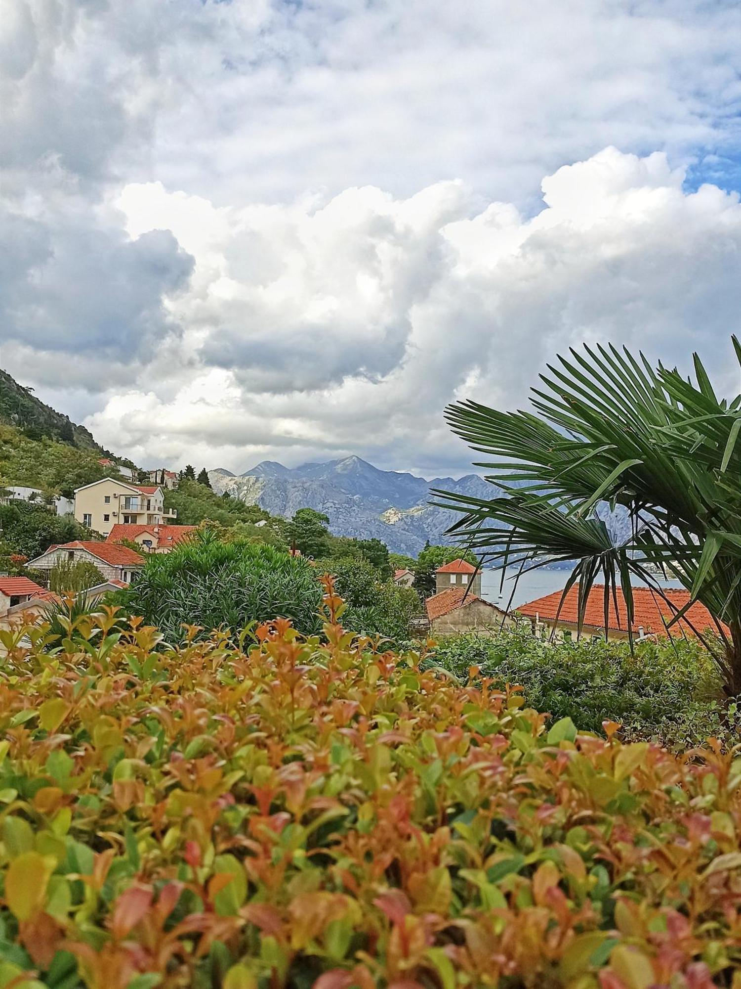 Apartment Kotor Zewnętrze zdjęcie
